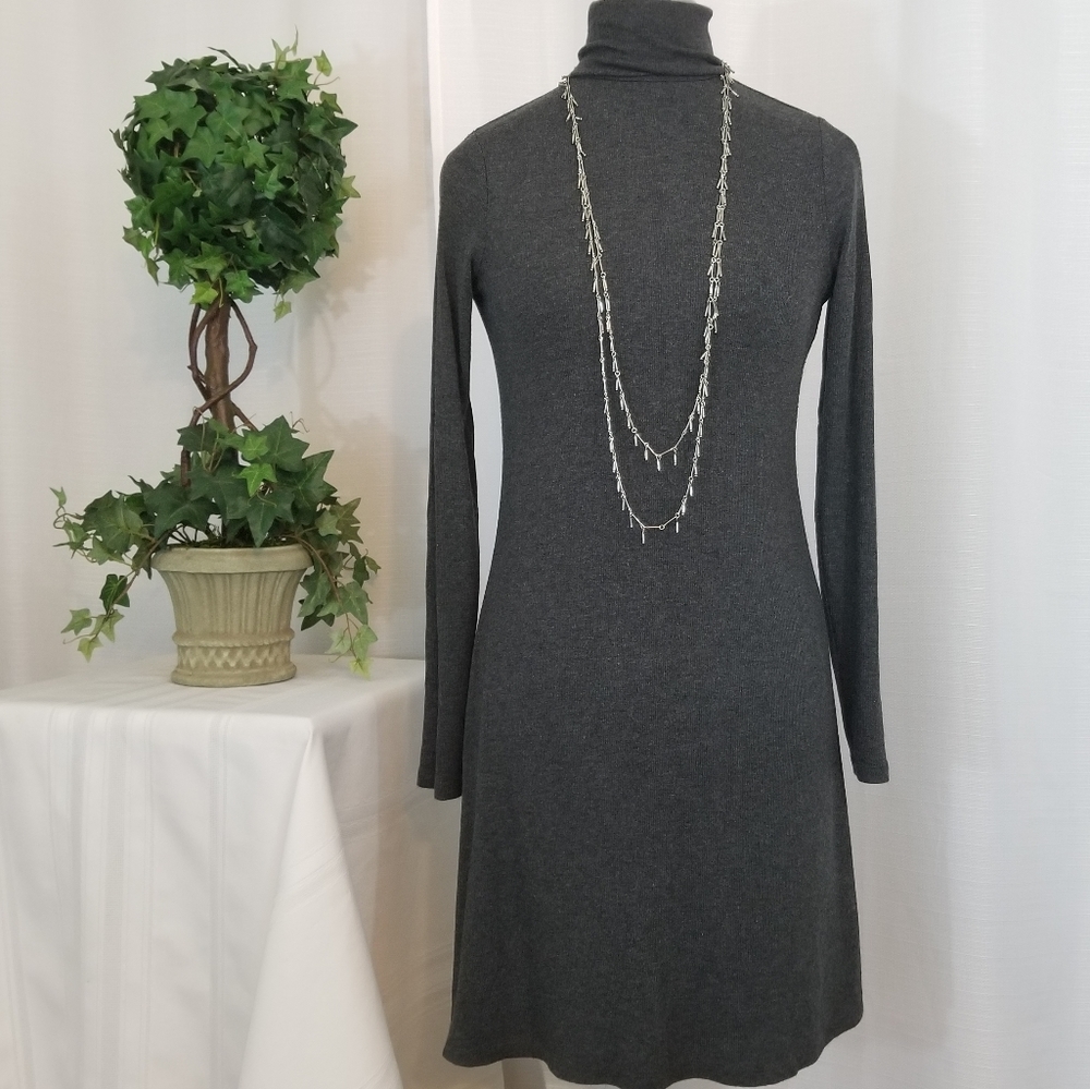 Gap Knit Turtleneck Dress